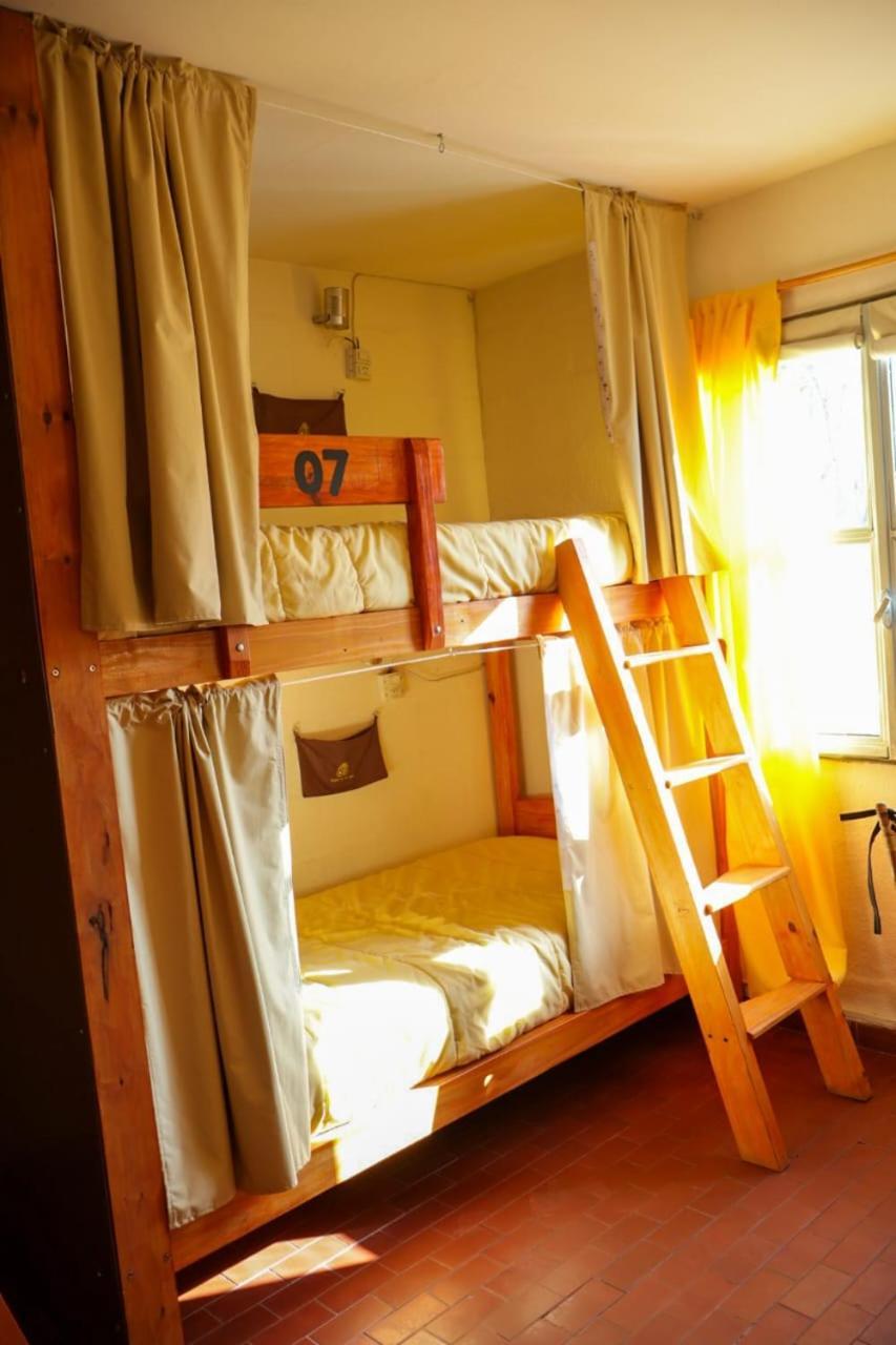 Hostel House 64Biguea إل كالافاتي المظهر الخارجي الصورة